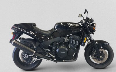 1994  TRIUMPH SPEED TRIPLE 900 $4,750. PRIVATE SALE.
