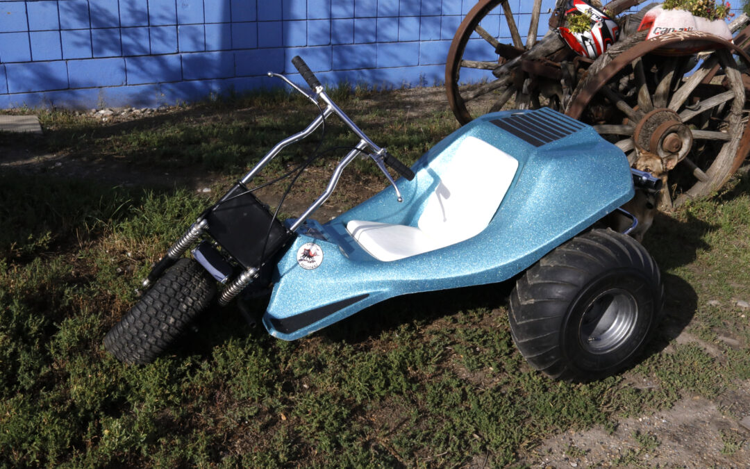 1970’s Columbia MTD Mud Bug Trike