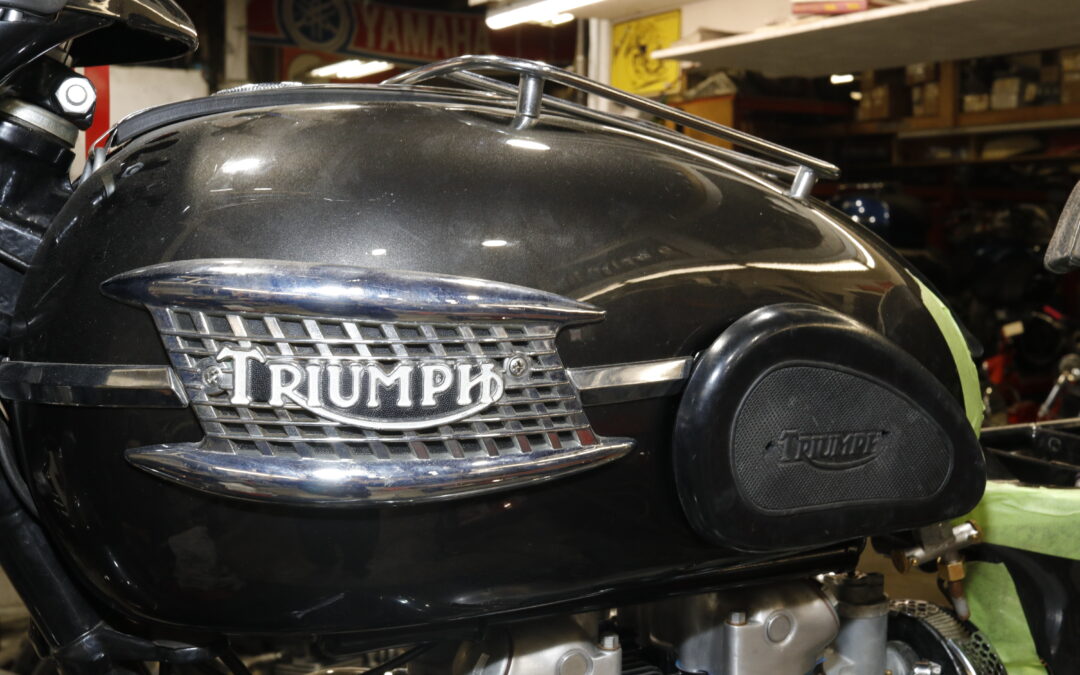 1960 Triumph 6T Thunderbird Bath Tub