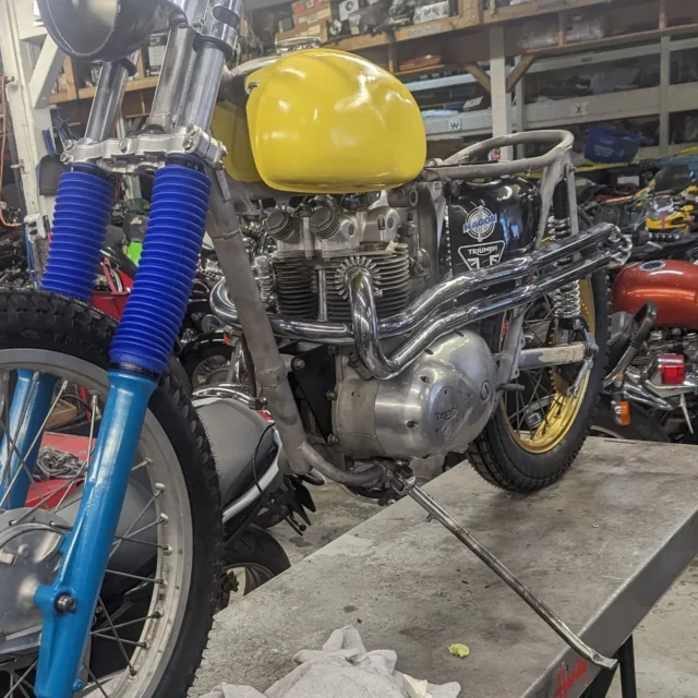 Tricanuki coming together nicely. Rear fender and taillight next . Always make time for your own bikes as well as customer bikes in this crazy busy season.