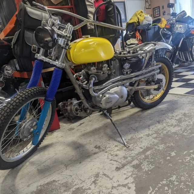 Tricanuki with rear fender.Thanks 150k Kyle.